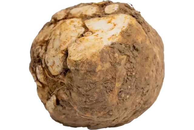 Mini knolselderij met lof